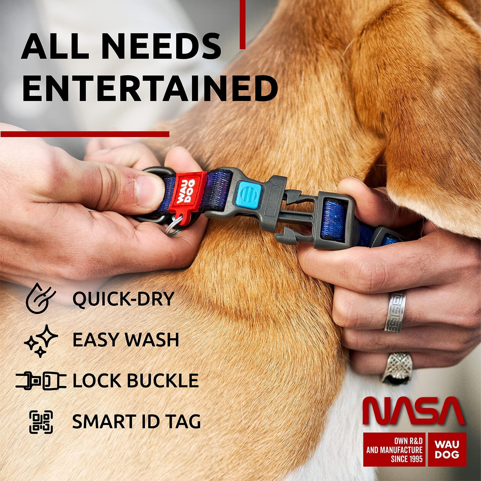 Nylon Dog Collar Adjustable for Small Medium Dogs 916 in Neck X 4/5 in NASA