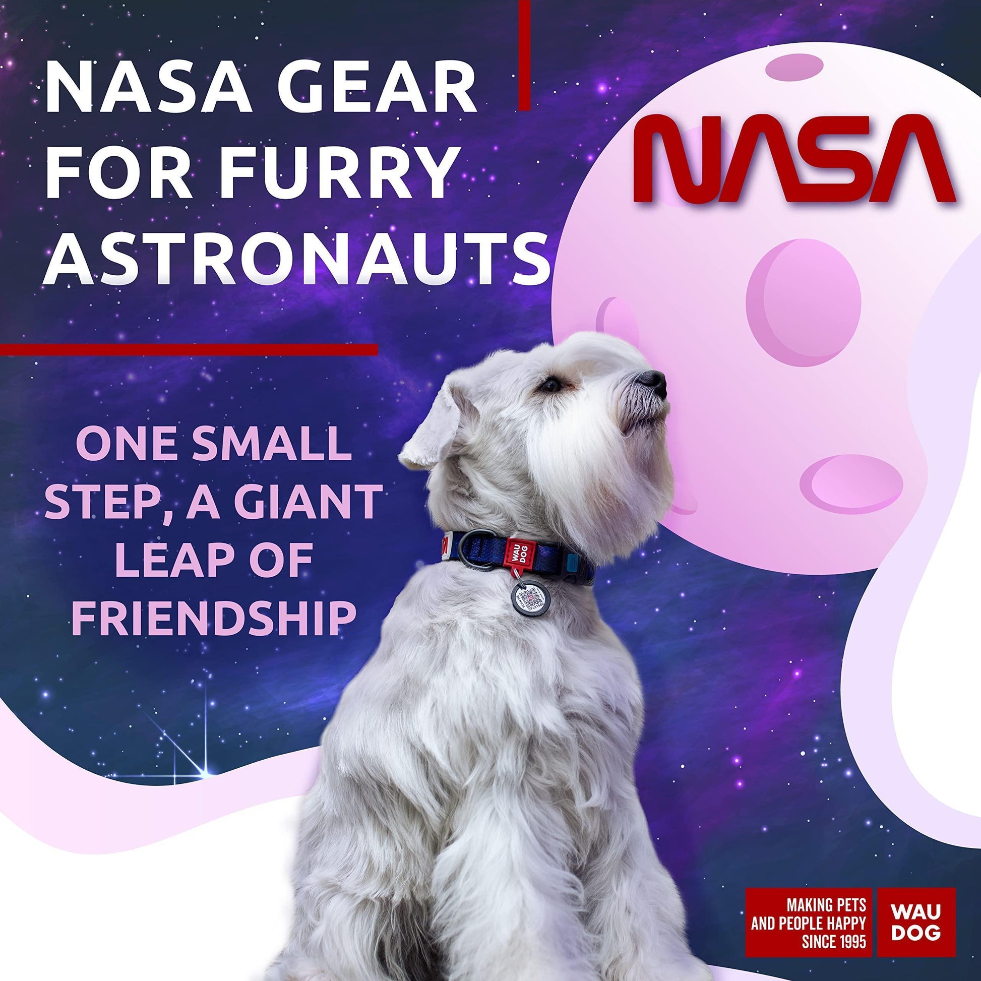 Nylon Dog Collar Adjustable for Small Medium Dogs 916 in Neck X 4/5 in NASA