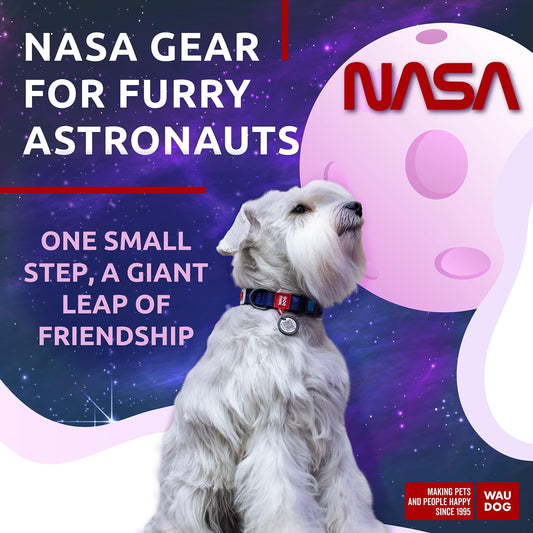 Nylon Dog Collar Adjustable for Small Medium Dogs 916 in Neck X 4/5 in NASA
